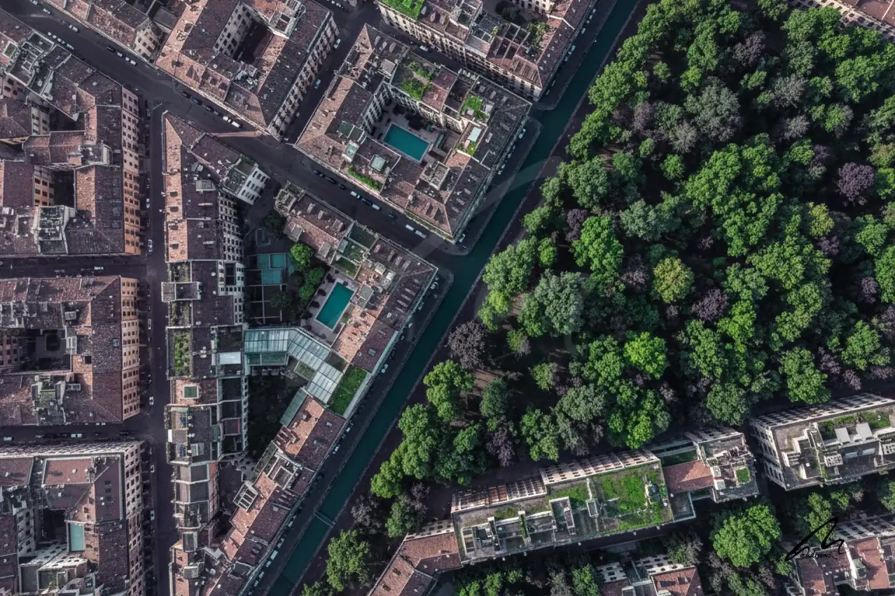 Aerial view of urban tree canopy showing the transition between exposed and shaded streets.