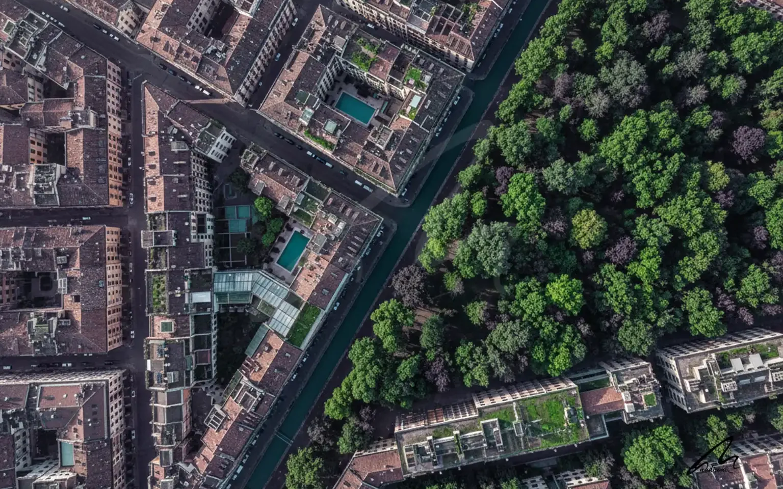Aerial view of urban tree canopy showing the transition between exposed and shaded streets.